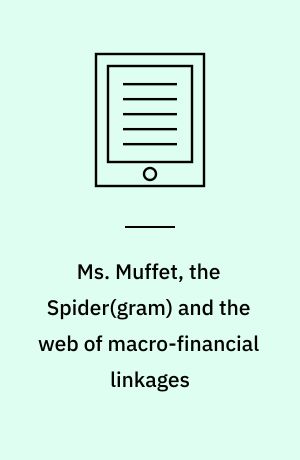 Ms. Muffet, the Spider(gram) and the web of macro-financial linkages