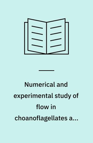 Numerical and experimental study of flow in choanoflagellates and choanocytes