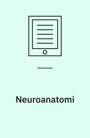 Neuroanatomi : et kompendium