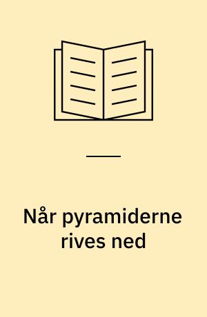 Når pyramiderne rives ned : decentralisering i praksis
