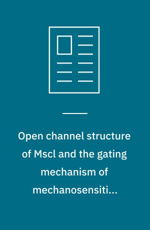 Open channel structure of Mscl and the gating mechanism of ...