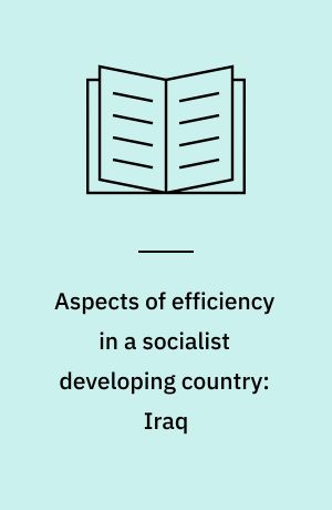 Aspects of efficiency in a socialist developing country: Iraq