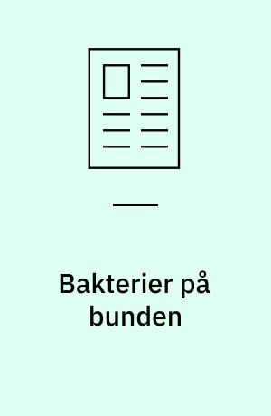 Bakterier på bunden
