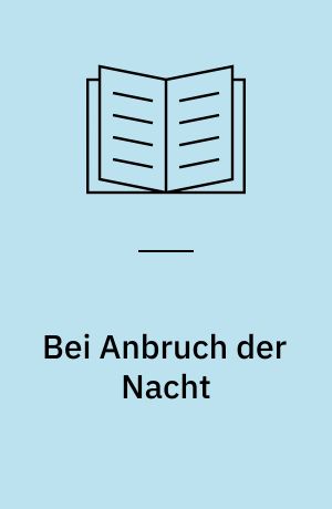 Bei Anbruch der Nacht