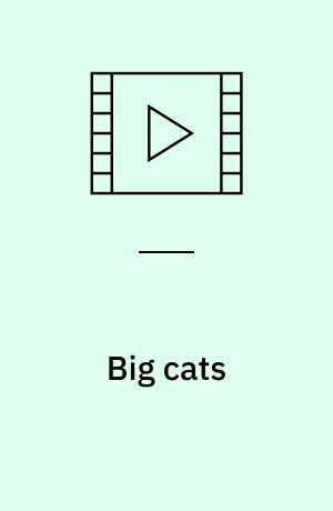 Big cats
