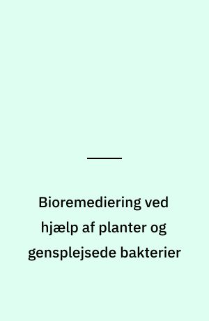 Bioremediering ved hjælp af planter og gensplejsede bakterier
