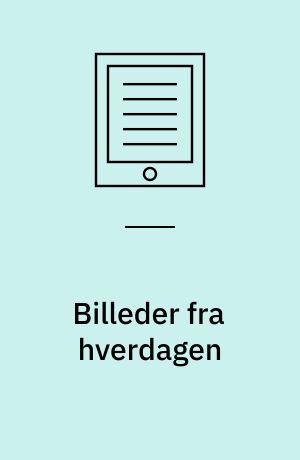 Billeder fra hverdagen : en dokumentarisk-analytisk fremstilling af den sociale indsats over for hjemløse, misbrugere eller sindslidende personer, som den ses af de, der arbejder i feltet