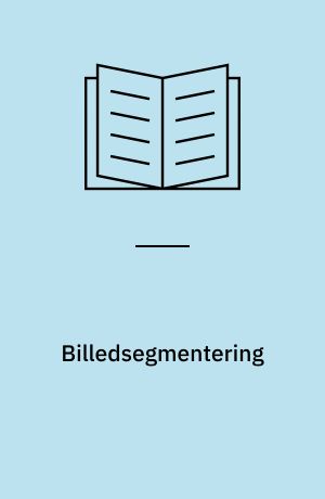 Billedsegmentering : dynamisk programmering i Markovfelter
