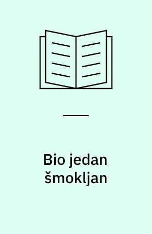 Bio jedan šmokljan : (roman)