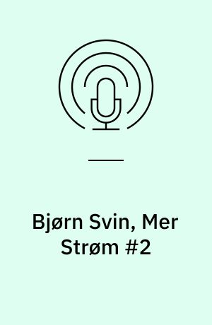 Bjørn Svin, Mer Strøm #2