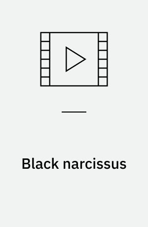 Black narcissus