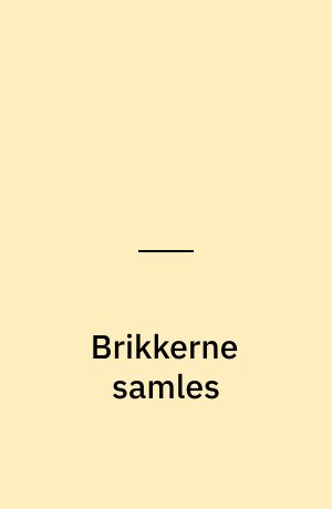 Brikkerne samles