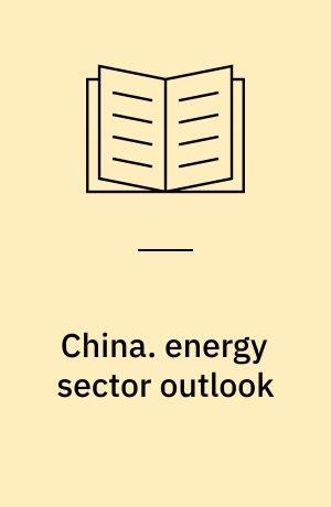 China. energy sector outlook