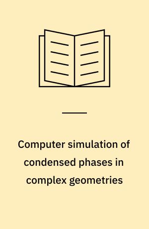 Computer simulation of condensed phases in complex geometries