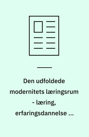 Den udfoldede modernitets læringsrum - læring, erfaringsdannelse og selvregulering