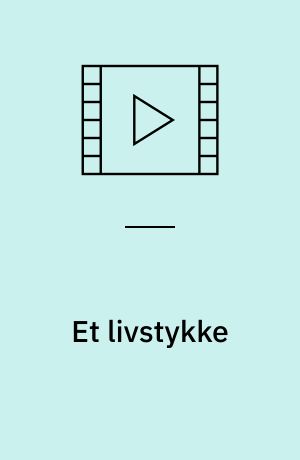 Et livstykke