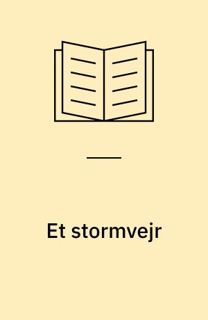 Et stormvejr