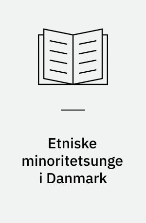 Etniske minoritetsunge i Danmark : en undersøgelse af årgang 1995