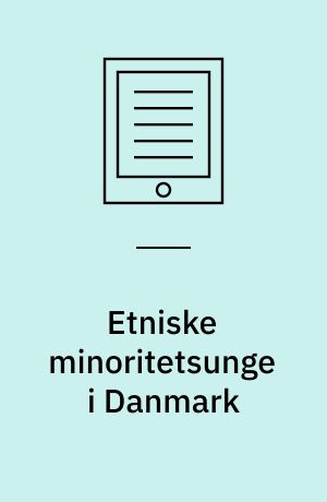 Etniske minoritetsunge i Danmark : en undersøgelse af årgang 1995