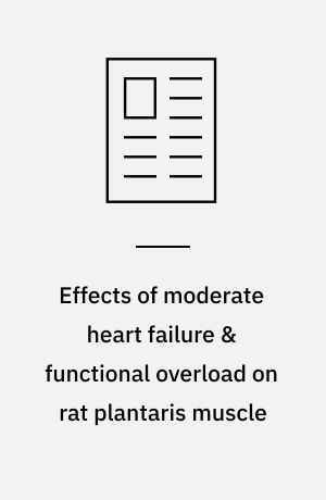 Effects of moderate heart failure & functional overload on rat plantaris muscle