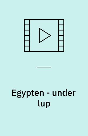 Egypten - under lup : hvorfor skal vi overhovedet stemme?