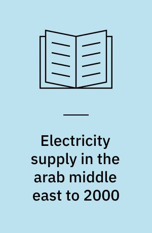 Electricity supply in the arab middle east to 2000