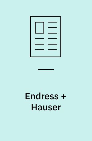 Endress + Hauser : erfaring i teori og praksis