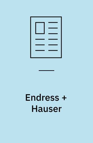 Endress + Hauser : erfaring i teori og praksis