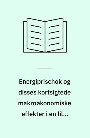 Energiprischok og disses kortsigtede makroøkonomiske effekter i en lille åben økonomi