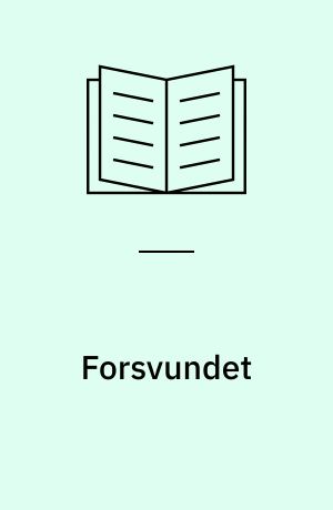 Forsvundet : Bermuda Trekantens gåde 2
