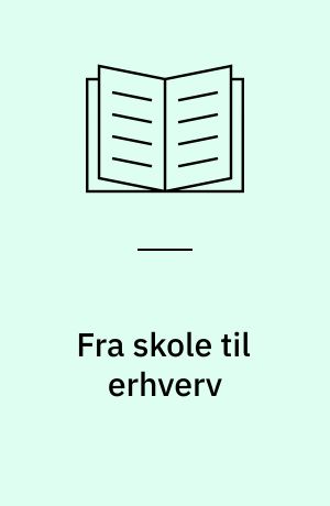 Fra skole til erhverv : en beskrivelse af en generation unge