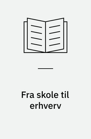 Fra skole til erhverv : en beskrivelse af en generation unge