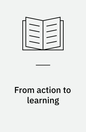 From action to learning : the systematisation of alternative consulting experiences