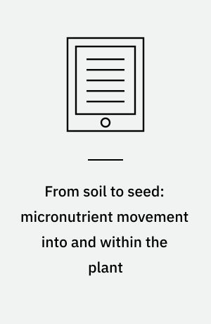 From soil to seed: micronutrient movement into and within the plant