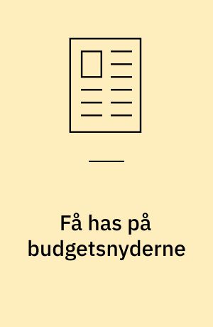 Få has på budgetsnyderne