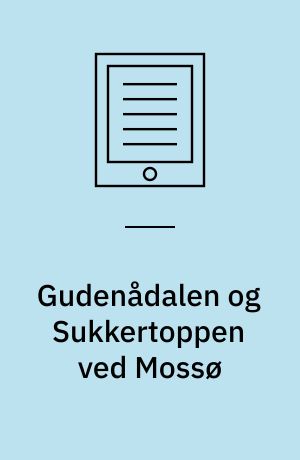 Gudenådalen og Sukkertoppen ved Mossø