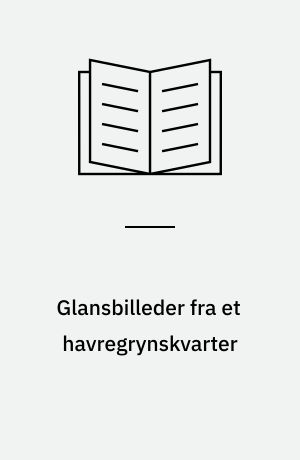 Glansbilleder fra et havregrynskvarter : indtryk fra 1960'erne på Den gamle Dyrskueplads