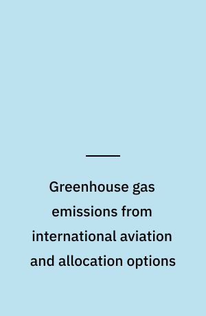 Greenhouse gas emissions from international aviation and allocation options