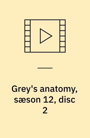 Grey's anatomy, sæson 12, disc 2