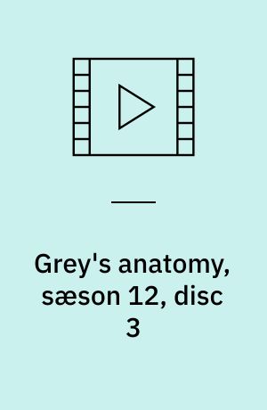 Grey's anatomy, sæson 12, disc 3