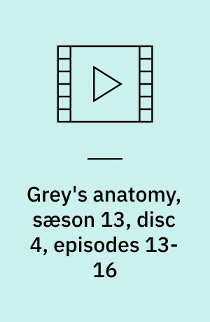 Grey's anatomy, sæson 13, disc 4, episodes 13-16
