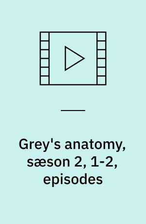 Grey's anatomy, sæson 2, 1-2, episodes