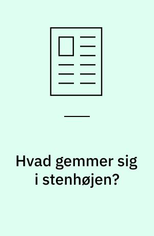 Hvad gemmer sig i stenhøjen? : fundamentet for løbende forbedringer