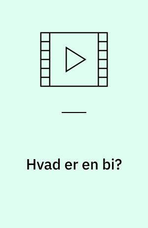 Hvad er en bi?