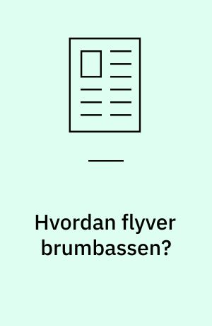 Hvordan flyver brumbassen? : social kapital og velfærdsstaten