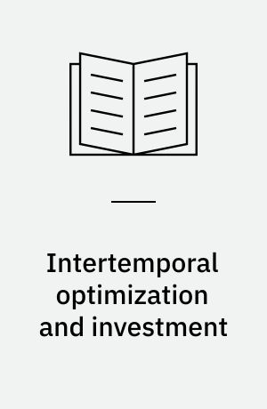 Intertemporal optimization and investment