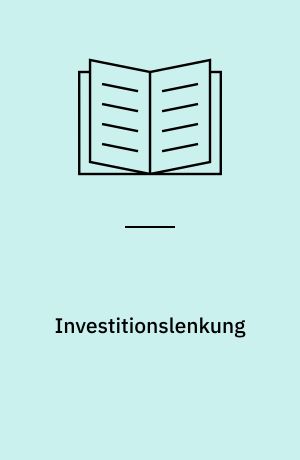 Investitionslenkung