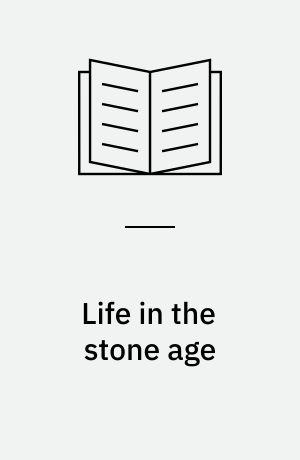 Life in the stone age