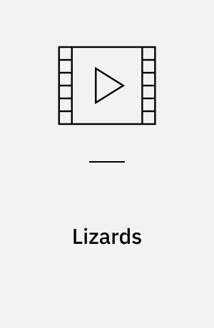 Lizards