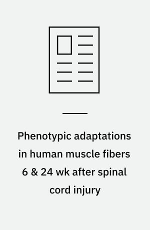 Phenotypic adaptations in human muscle fibers 6 & 24 wk after spinal cord injury